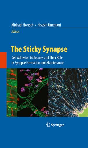 Cover of the book The Sticky Synapse by Semyon G Rabinovich