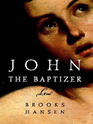 Cover of the book John the Baptizer: A Novel by Jesse Bering