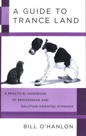Cover of the book A Guide to Trance Land: A Practical Handbook of Ericksonian and Solution-Oriented Hypnosis by Kimiko Hahn