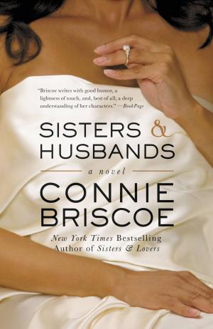 Book cover of Sisters and Husbands