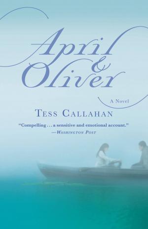 Cover of the book April &amp; Oliver by Michael Scott