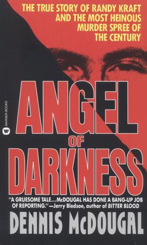 Cover of the book Angel of Darkness by Faye Kellerman