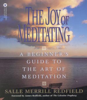 Book cover of The Joy of Meditating