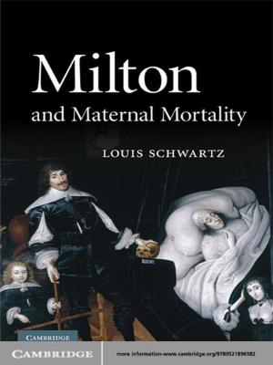 Cover of the book Milton and Maternal Mortality by Carol Mershon, Olga Shvetsova