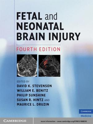 Cover of the book Fetal and Neonatal Brain Injury by Joe Wills
