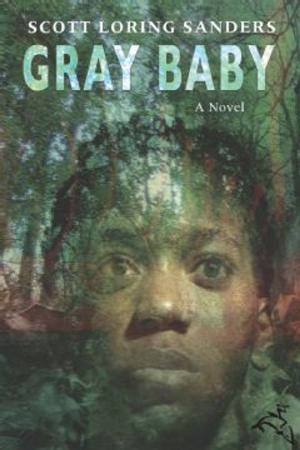 Cover of the book Gray Baby by Anya Seton