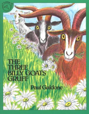 Cover of the book The Three Billy Goats Gruff by Ruben O. Martinez