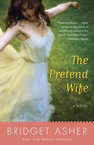 bigCover of the book The Pretend Wife by 