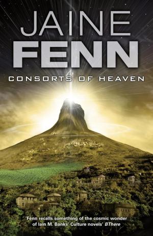 Cover of the book Consorts of Heaven by Michael Scott Rohan, Allan J. Scott