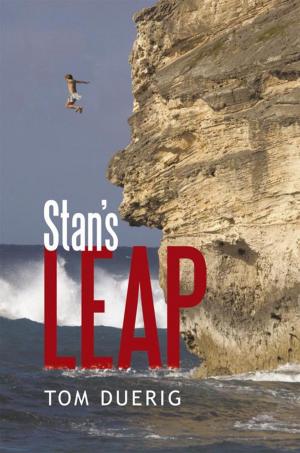 Cover of the book Stan’S Leap by Ann Millan