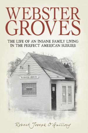 Cover of the book Webster Groves by Kermit L. Krueger
