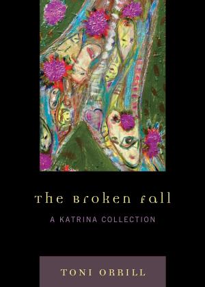 Cover of the book The Broken Fall by Nava Shean