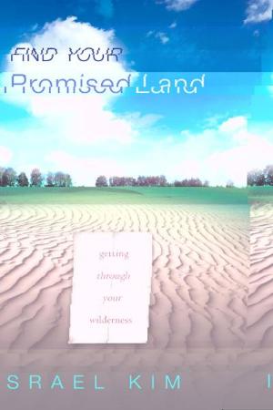 Cover of the book Find Your Promised Land by Cindy Trimm