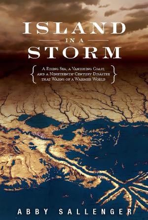 Cover of the book Island in a Storm by Monique Brinson Demery