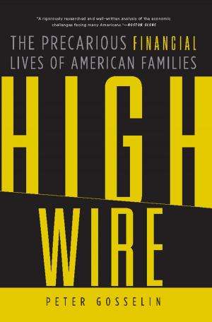 Cover of the book High Wire by Jennifer Nelson
