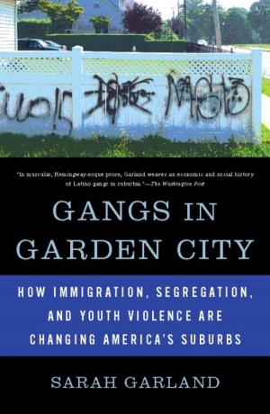 Cover of the book Gangs in Garden City by David N. Dinkins