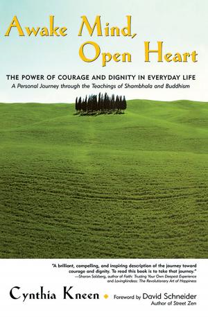 Cover of the book Awake Mind, Open Heart by Sandra Blakeslee