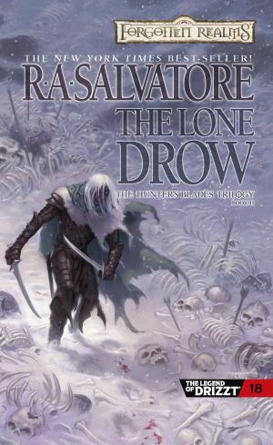 Cover of the book The Lone Drow by Steven E. Schend