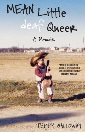 Cover of the book Mean Little deaf Queer by Jonathan Rosenblum