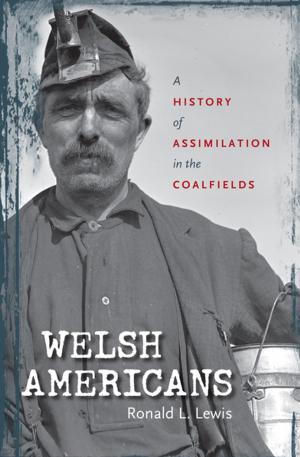 bigCover of the book Welsh Americans by 