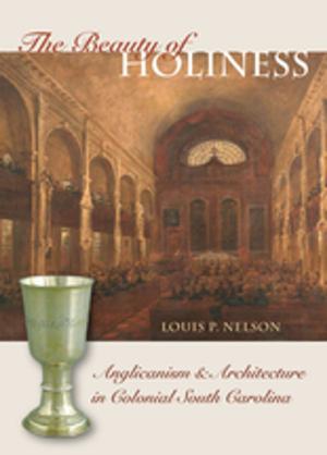 Cover of the book The Beauty of Holiness by James Hoopes