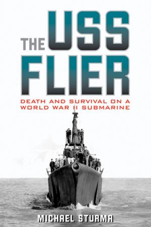 Cover of the book The USS Flier by Shannon H. Wilson