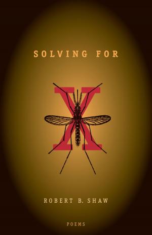 Cover of the book Solving for X by Andrew Welsh-Huggins