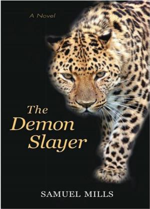 Book cover of The Demon Slayer