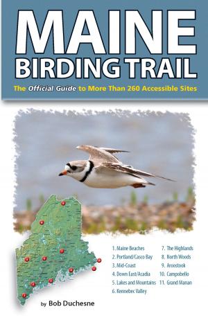 Cover of the book Maine Birding Trail by David Little