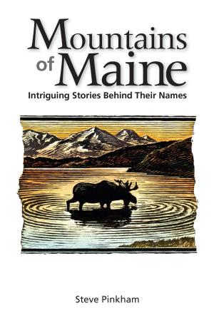 Cover of the book The Mountains of Maine by Earl D. Brechlin