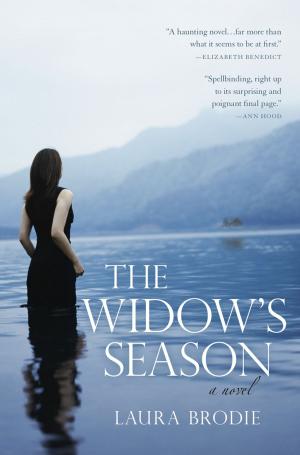 Cover of the book The Widow's Season by Jane Porter