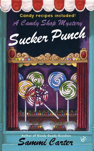 Cover of the book Sucker Punch by James L. Haley