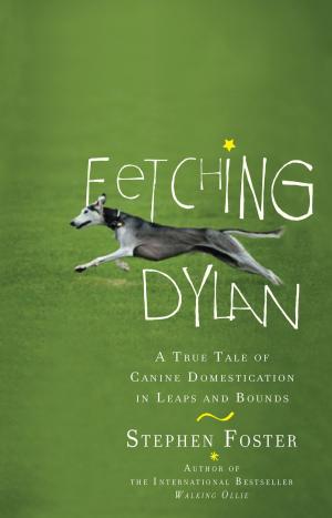 Cover of the book Fetching Dylan by Allen Steele