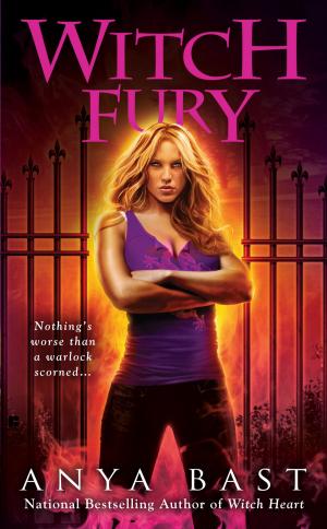 bigCover of the book Witch Fury by 