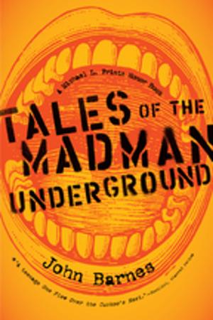 Cover of the book Tales of the Madman Underground by Jean Horton Berg