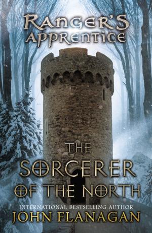 Cover of the book The Sorcerer of the North by Gary Blackwood