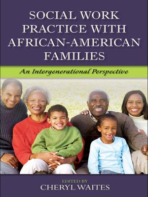 Cover of the book Social Work Practice with African American Families by 