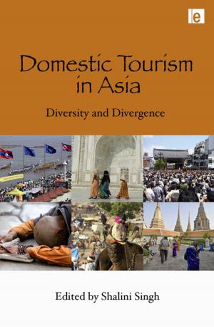 Cover of the book Domestic Tourism in Asia by 