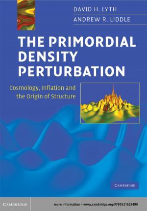 Cover of the book The Primordial Density Perturbation by David H. Levy