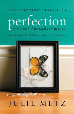 Cover of the book Perfection by Gary Small