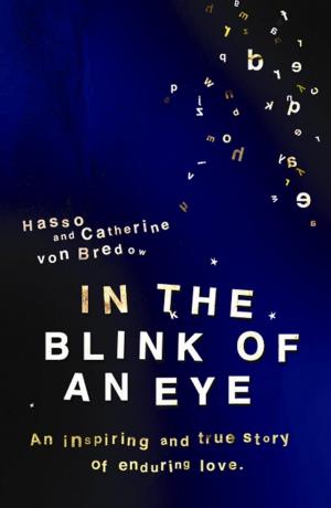 Cover of the book In The Blink Of An Eye by Fanny Blake