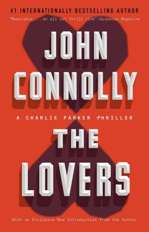 Cover of the book The Lovers by Judy Beardsall