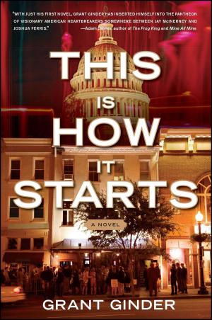 Cover of the book This Is How It Starts by Alan C. (Ace) Greenberg