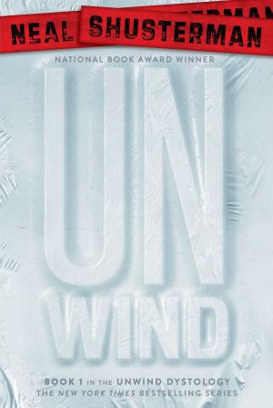 Cover of the book Unwind by Ellen Wittlinger