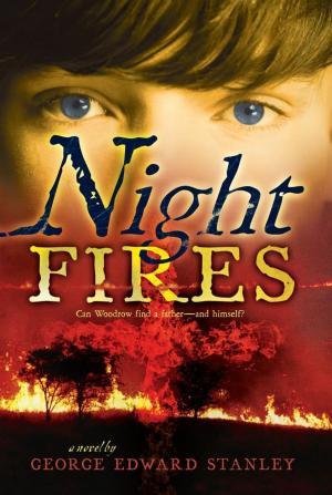 Cover of the book Night Fires by Carolyn Keene