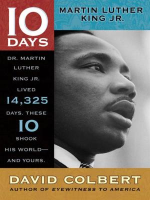 Cover of the book Martin Luther King Jr. by Sonia Levitin