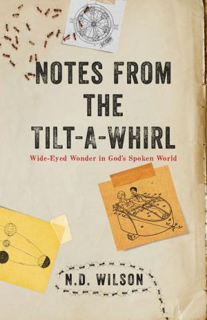 Cover of the book Notes From The Tilt-A-Whirl by John Eldredge