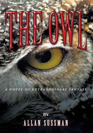 Cover of the book The Owl by Arlene Hibbler