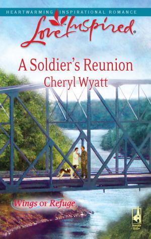 Cover of the book A Soldier's Reunion by Pamela Tracy
