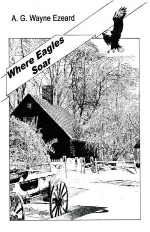 Cover of the book Where Eagles Soar by Rev. Benjamin A Vima